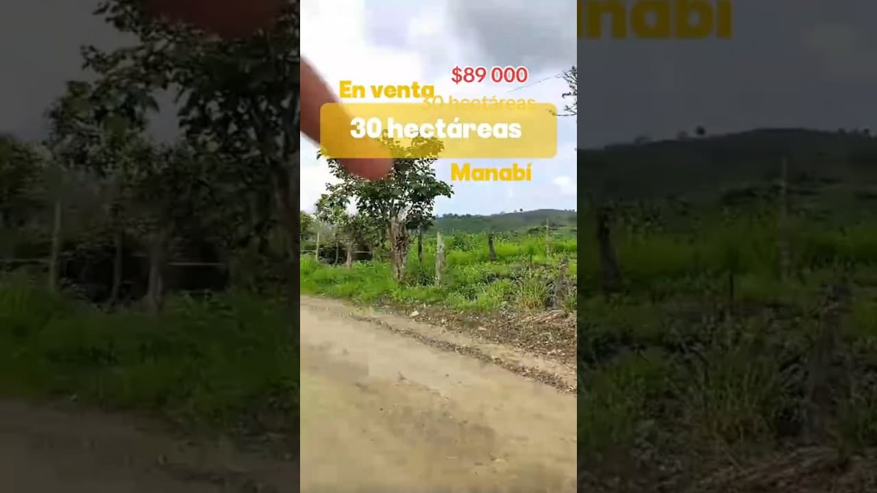 Video de Finca en Venta 30 hectáreas Manabí Chone 