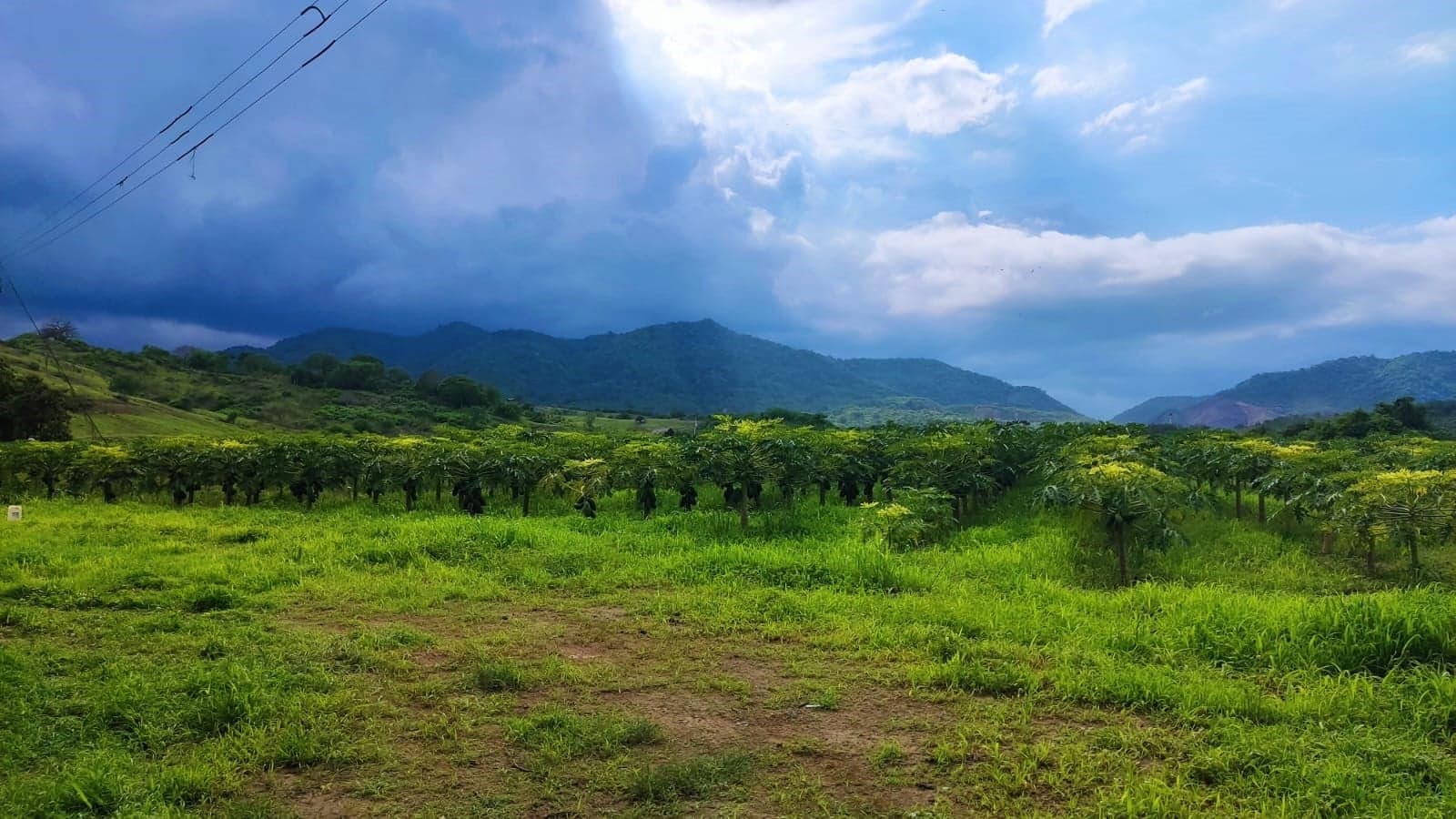 Venta de Finca 7.4 hectáreas en Portoviejo, Manabí - 3