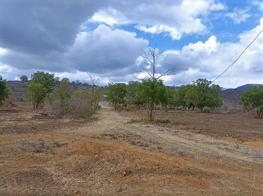 Venta de Finca 7.4 hectáreas en Portoviejo, Manabí - 5