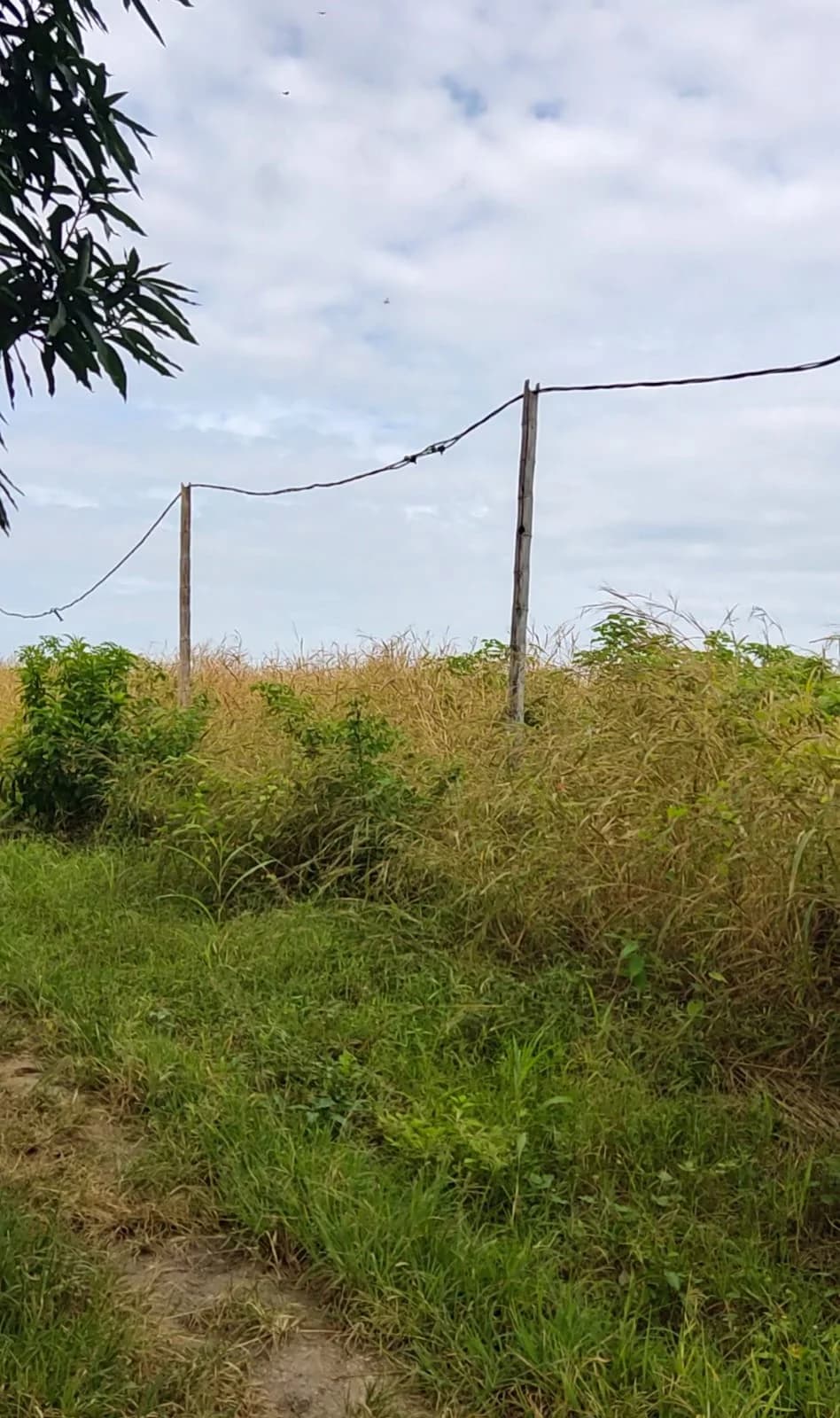 Terreno en venta de 2723 mts2 en Portoviejo, Manabí - 2