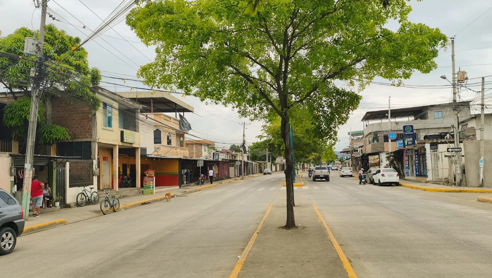 Propiedad comercial en Portoviejo, Manabi en avenida principal - 3