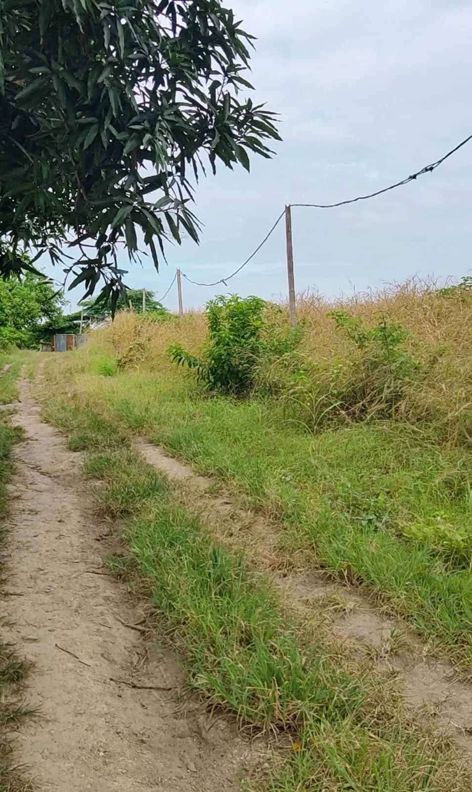 Terreno en venta de 2723 mts2 en Portoviejo, Manabí - 3