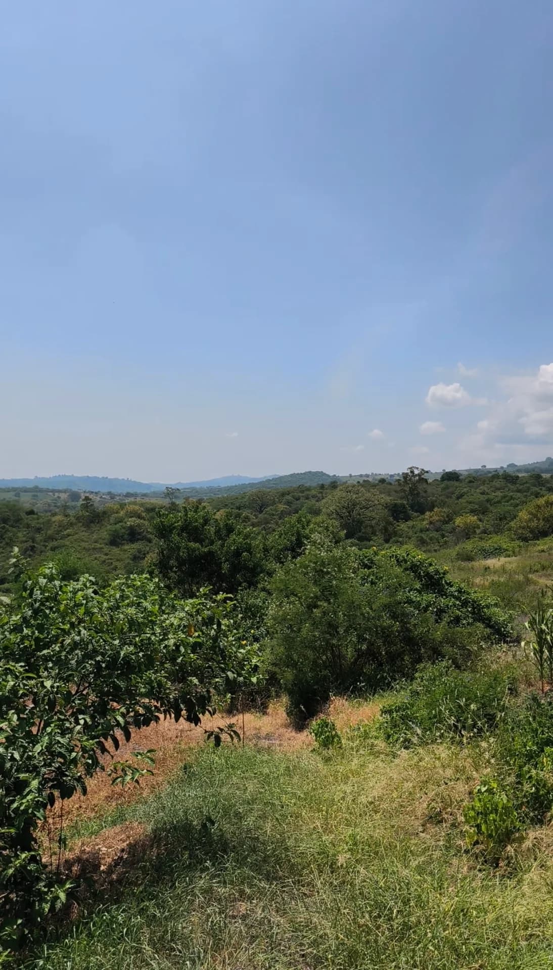 Finca en venta de 15 hectareas en Rocafuerte Manabi - 2