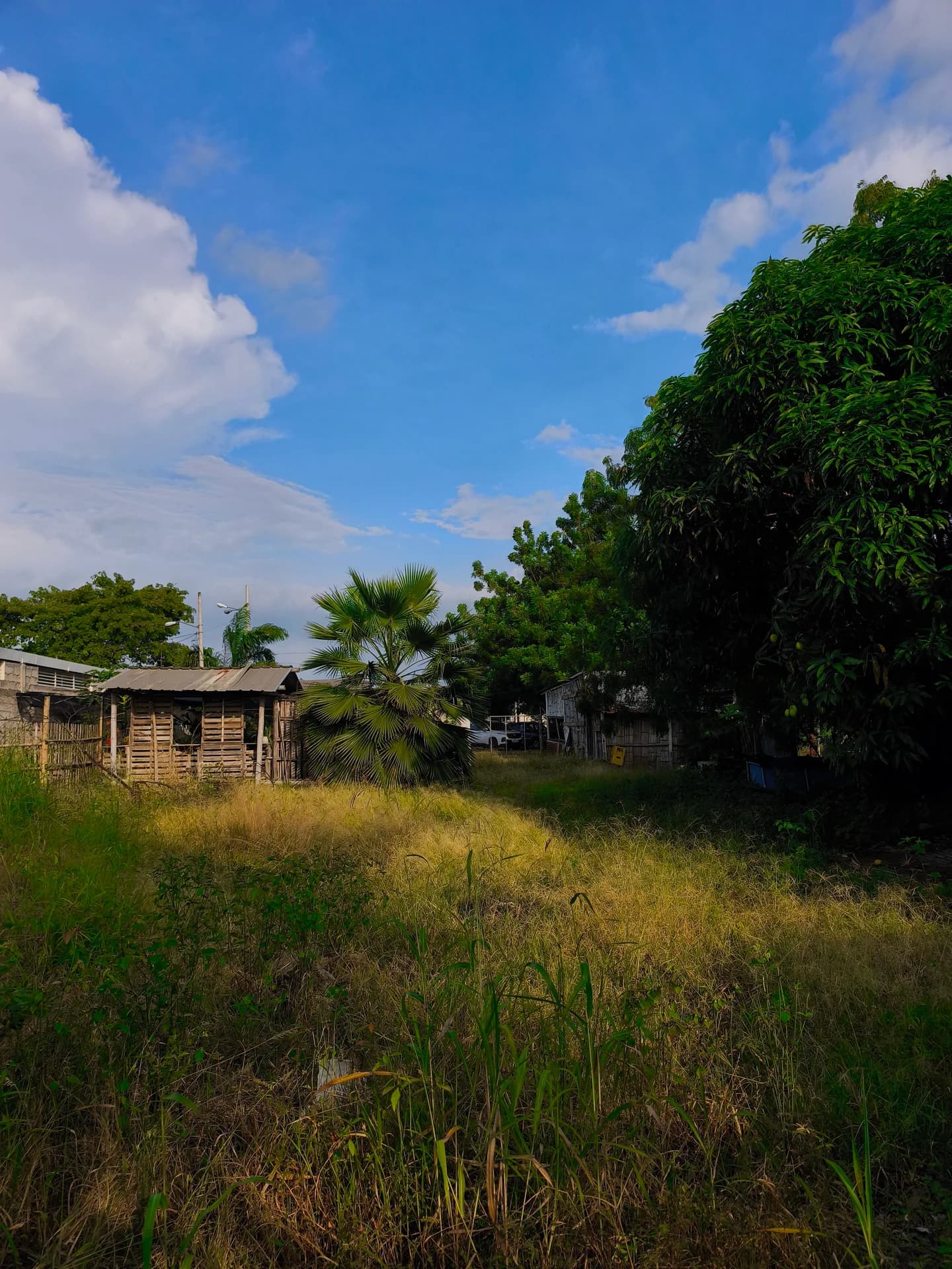 Terreno en venta Portoviejo 693 mts2 zona comercial - 4