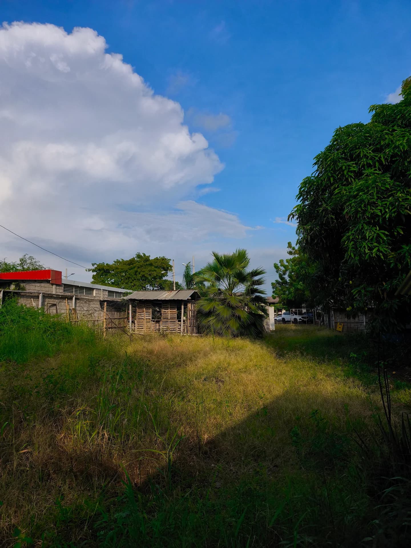 Terreno en venta Portoviejo 693 mts2 zona comercial - 5