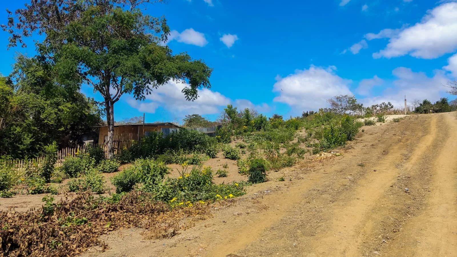 Terreno en venta en Jipijapa Manabi de 445 mts2 - 3