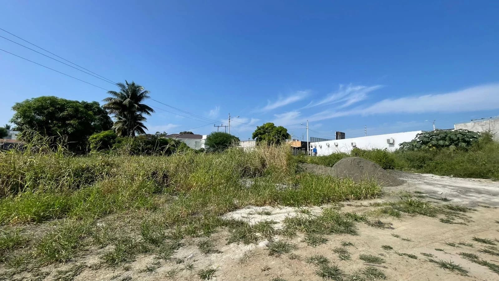 Terreno en venta sobre la Av. Reales Tamarindos 1138 mts2 - Principal