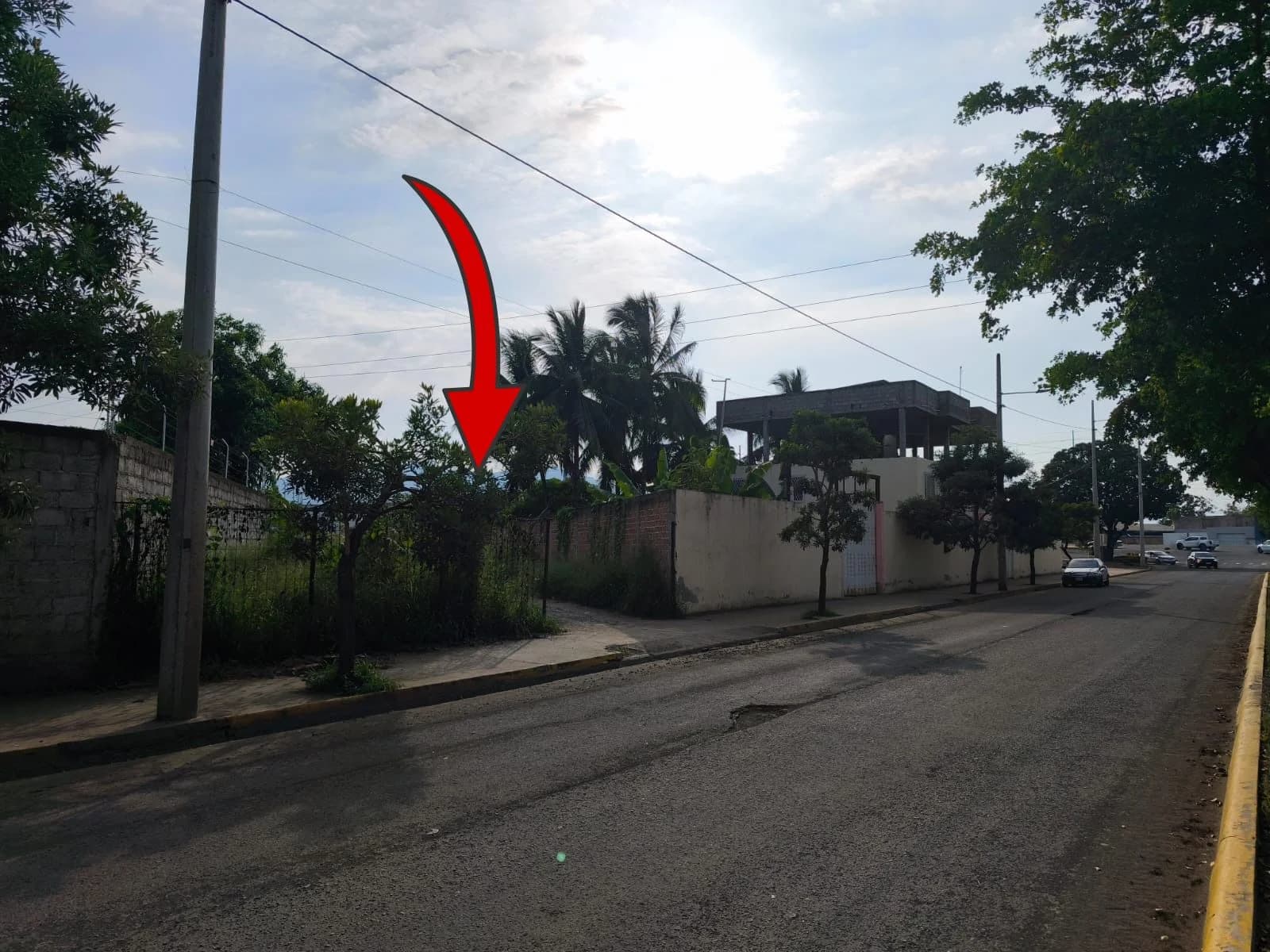 Terreno en venta sobre la Av. Reales Tamarindos 1138 mts2 - 3