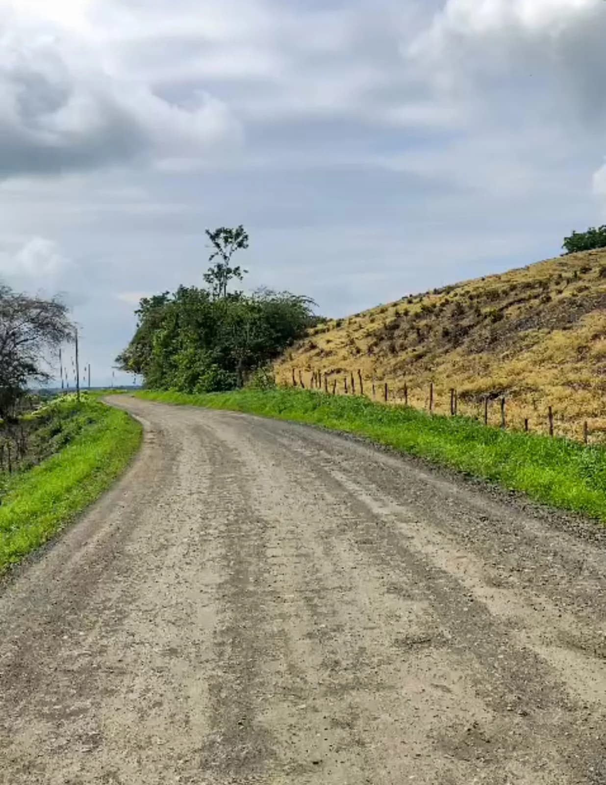 Finca en Venta 30 hectáreas Manabí Chone - 3