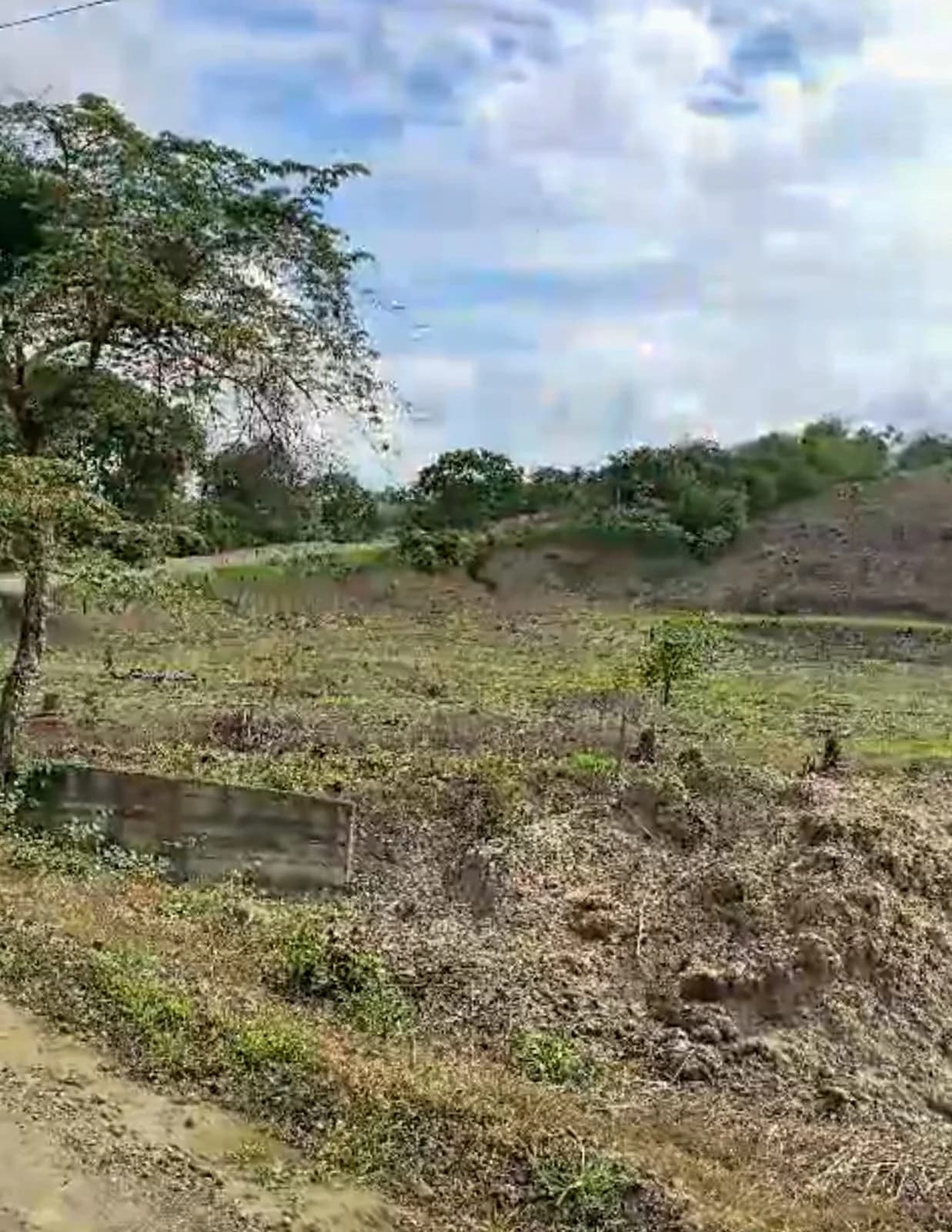 Finca en Venta 30 hectáreas Manabí Chone - 4