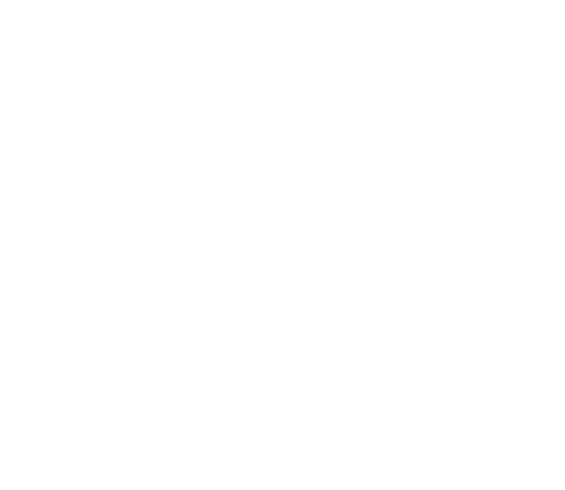 llipiportal.com